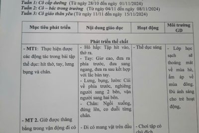 Kế hoạch giáo dục Tháng 11/2024